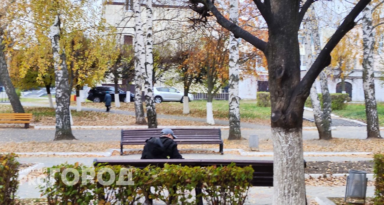 Пенсионер из Сарова потерял 4,5 миллиона, поверив, что ему их вернул Центробанк