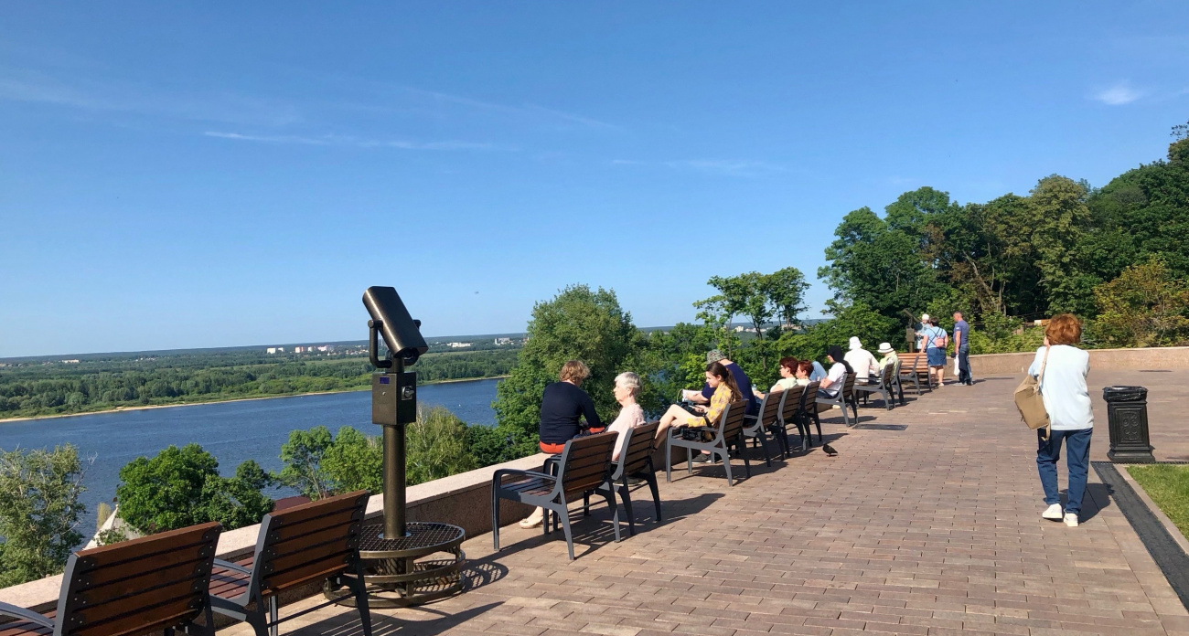 Ученые назвали самую "умную" группу крови - ее носители обладают высоким интеллектом