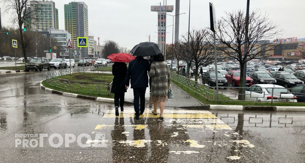 До +12 и дождь ожидает нижегородцев во вторник