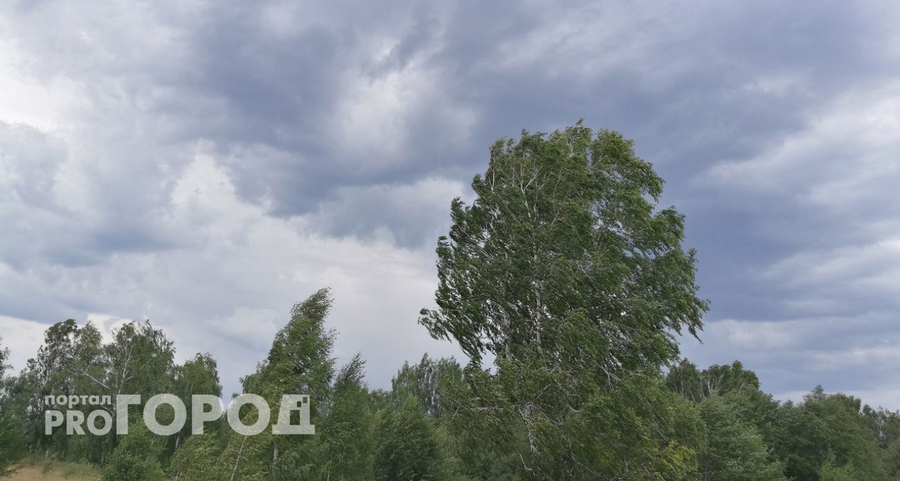 Жителей Нижегородской области предупредили об опасной погоде: МЧС выпустило срочное сообщение
