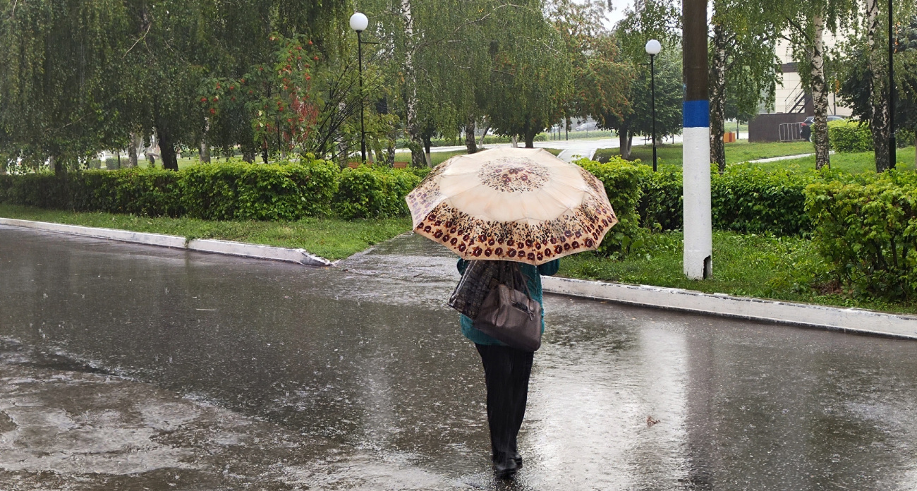 Такая привычка в дождливую погоду выдает человека с низким интеллектом