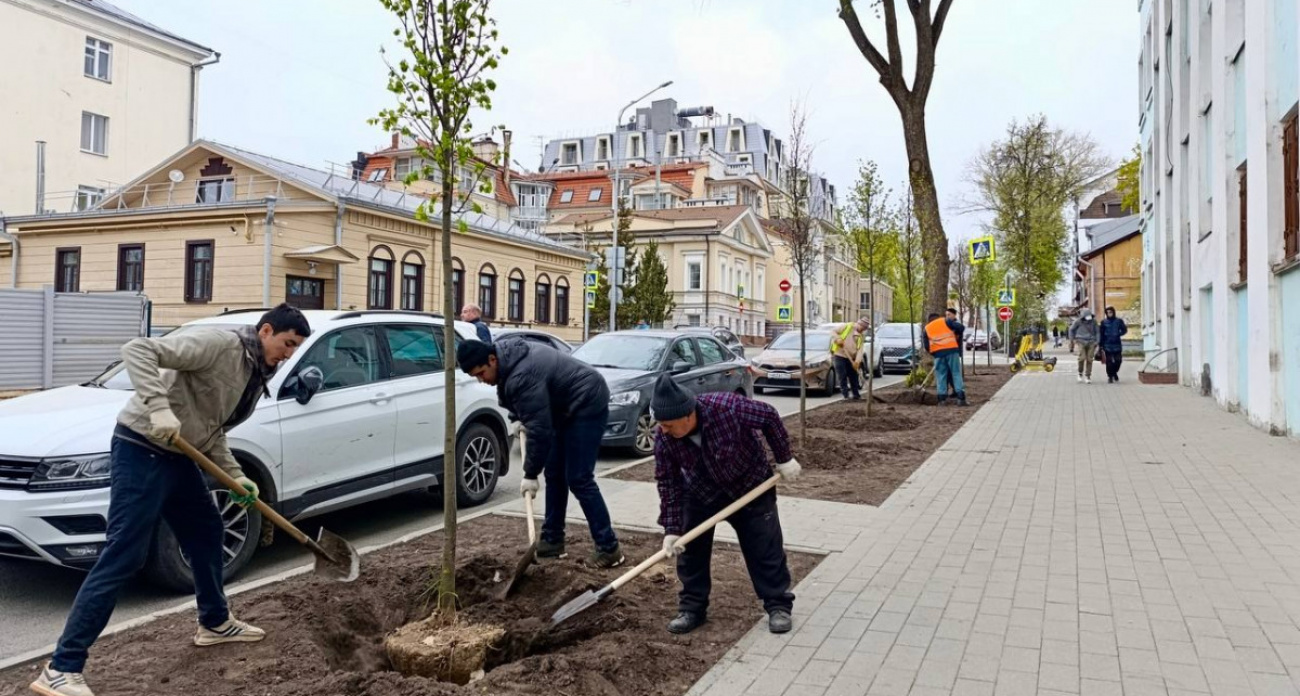 В Нижнем Новгороде высадят более 1500 деревьев и кустарников