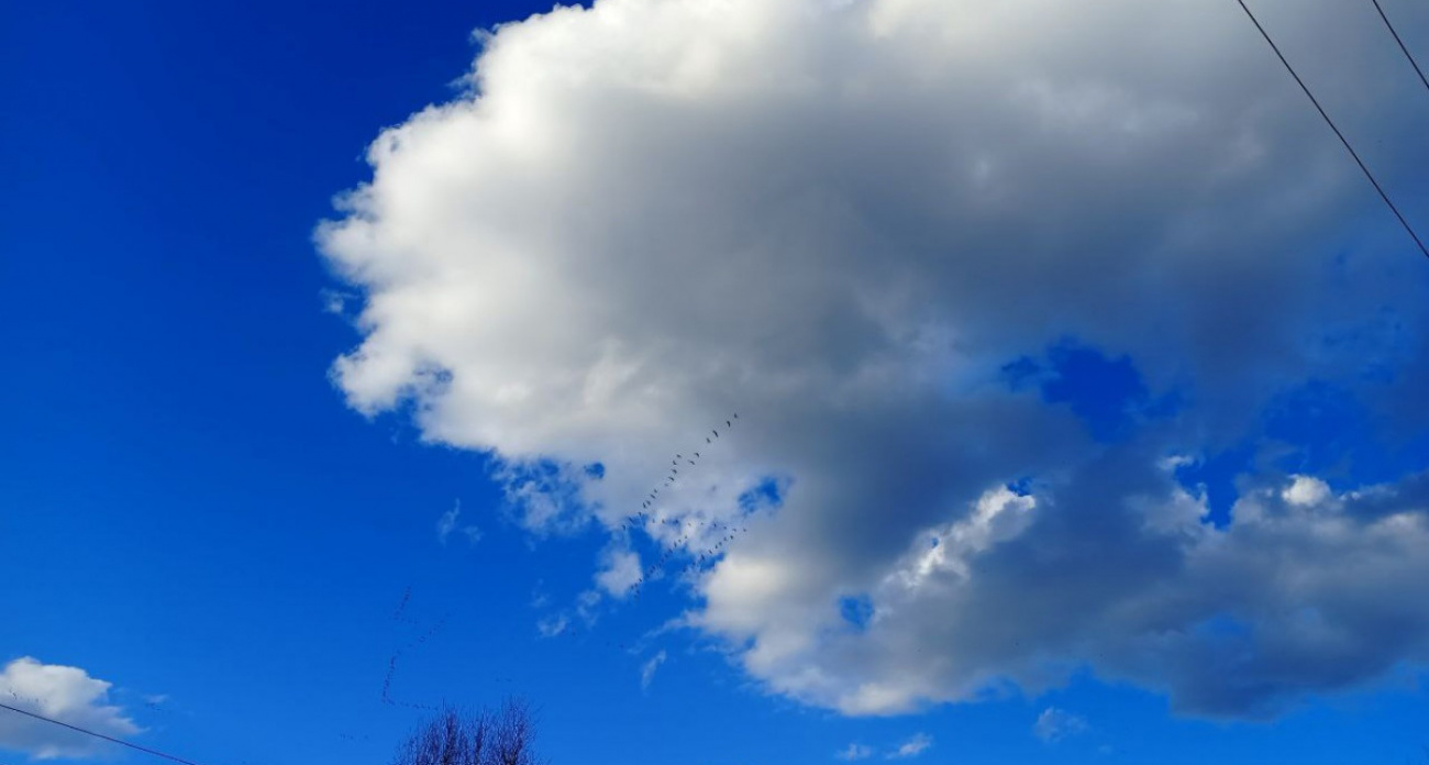 Потепление до +14°С ожидается в Нижнем Новгороде 3 мая
