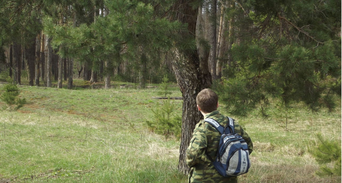 Волонтеры нашли 84 пропавших жителя Нижегородской области в апреле