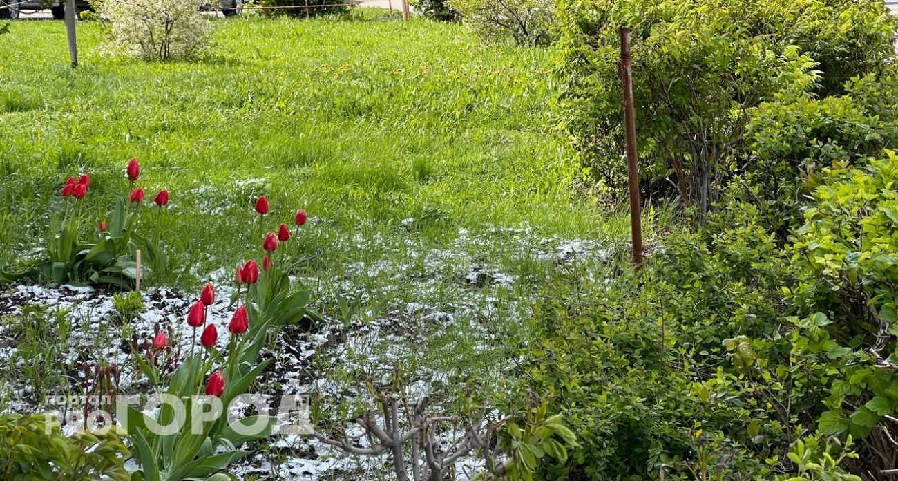 На жителей Нижегородской области обрушится минусовая температура: спецслужбы выпустили срочное предупреждение