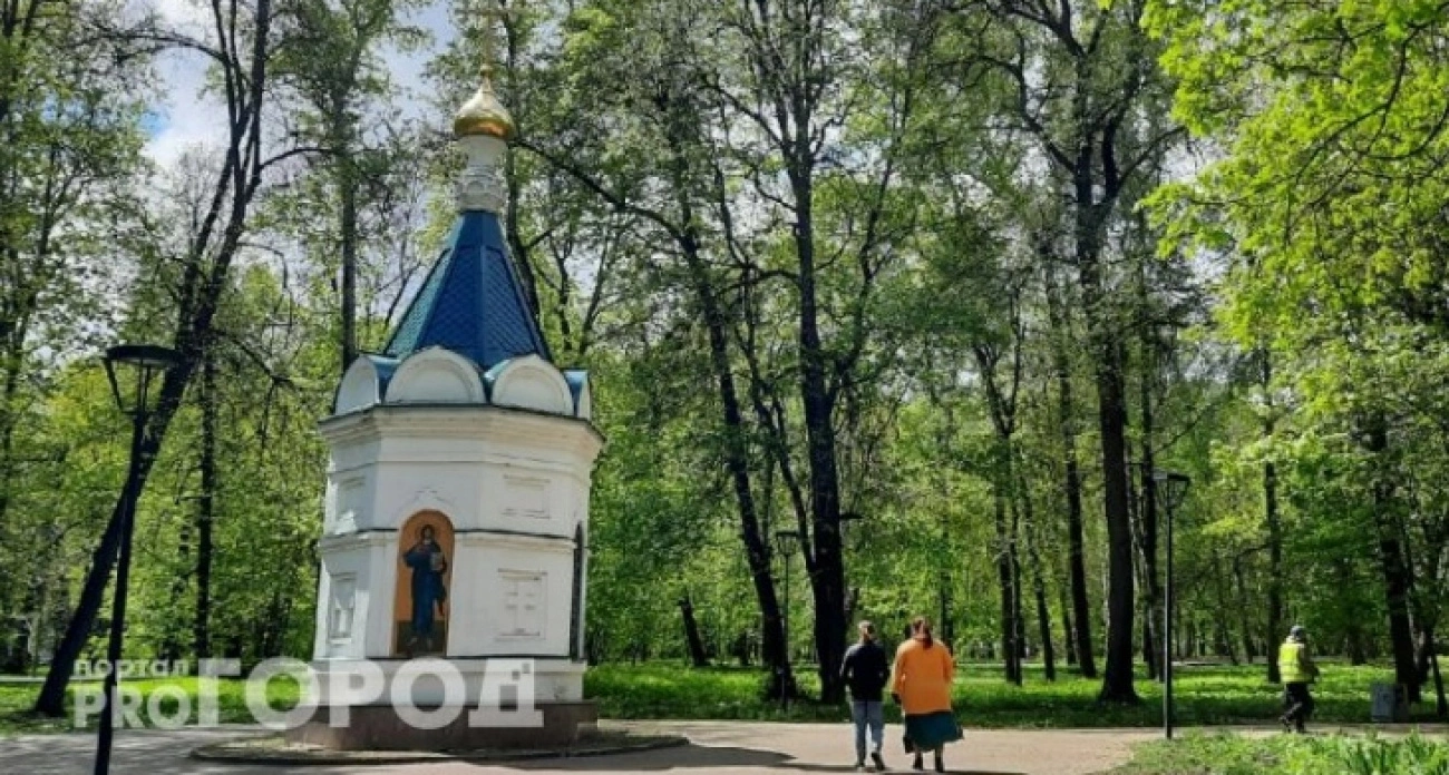 Фото к статье: Троица на пороге: что нужно сделать до праздника, чтобы не упустить счастье