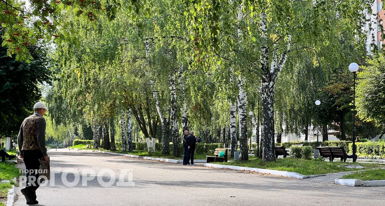 Фото к статье: Пенсионер из Городца ввел неизвестный код в банкомате и потерял полмиллиона рублей