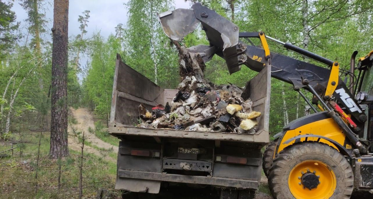 В Нижегородской области за неделю вычистили 3 лесные свалки в двух районах