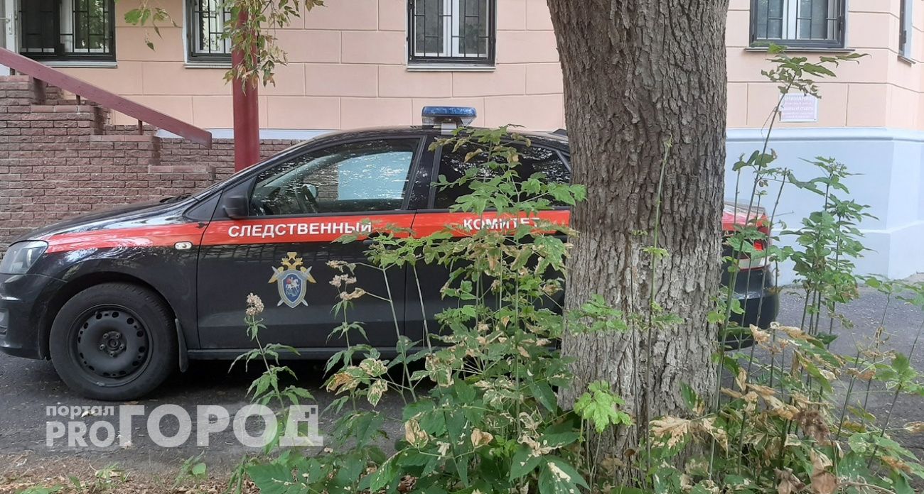 Бастрыкин потребовал доклад по делу о педофиле из Кстовского района, который приставал к 11-летней девочке