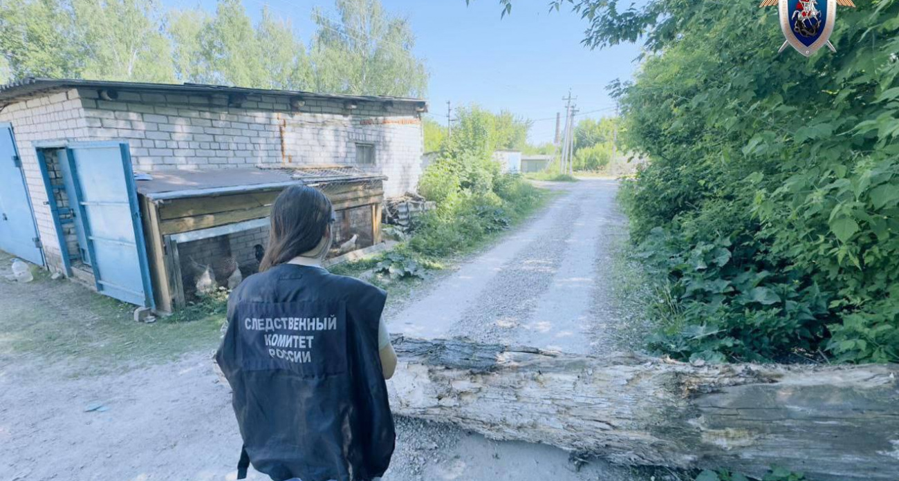 В Нижегородской области расследуют смерть мужчины, которого убило дерево