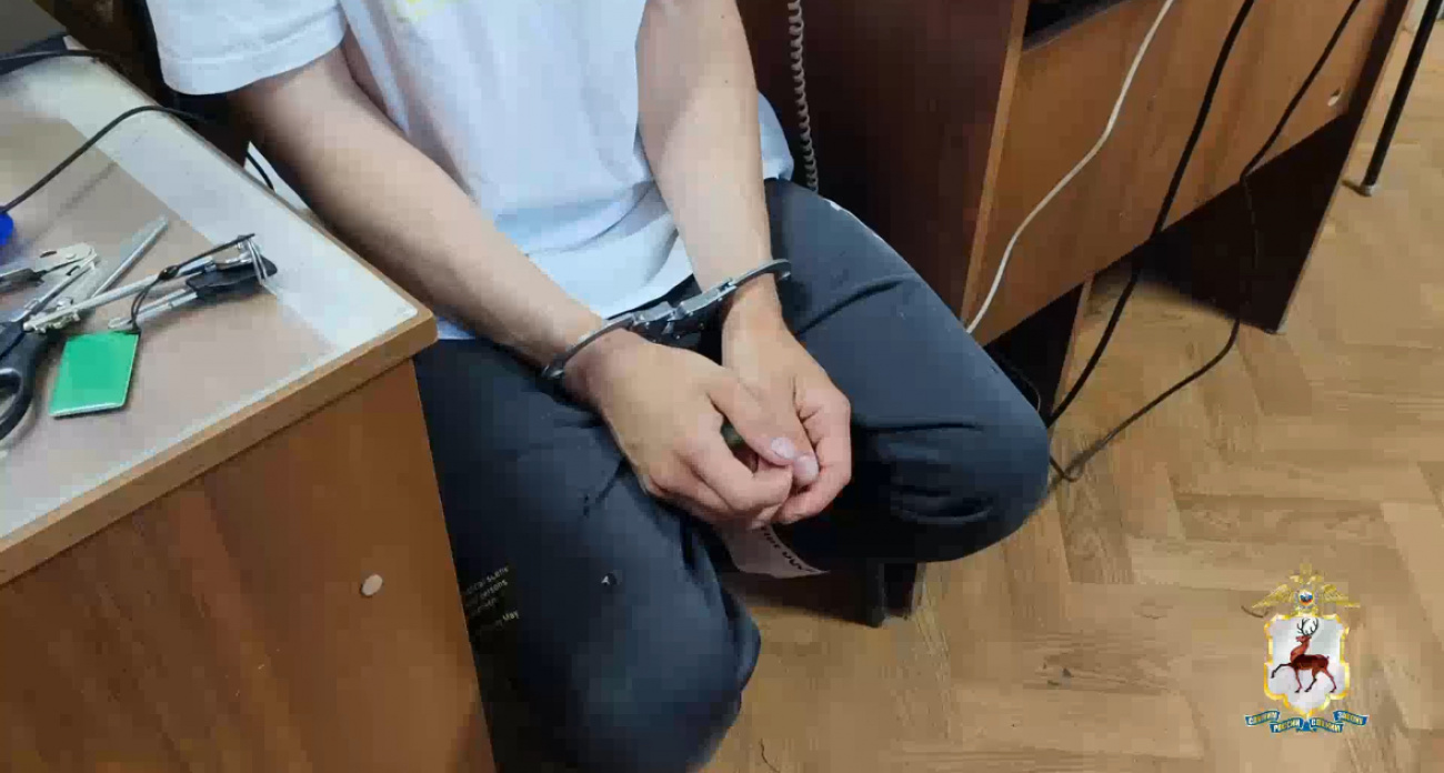 В Нижнем Новгороде задержан курьер, забравший у пенсионеров 5 миллионов рублей