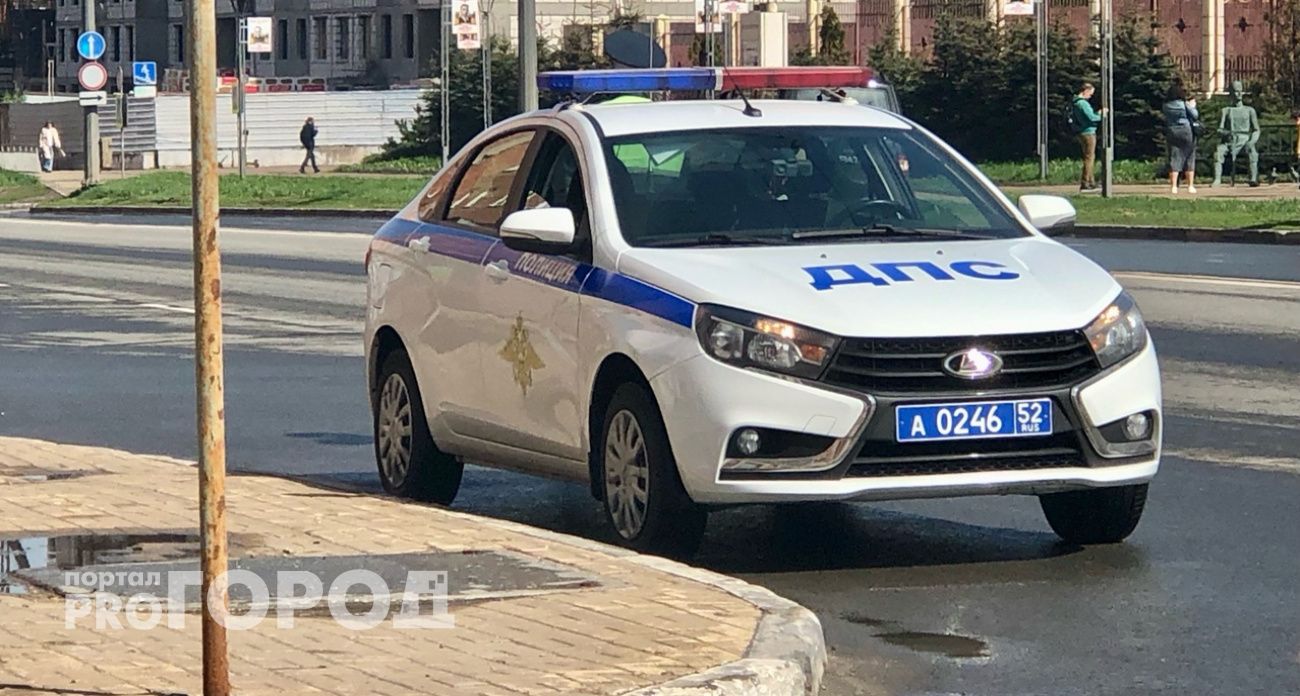 Двое пьяных арзамасцев напали с кулаками на сотрудников ДПС