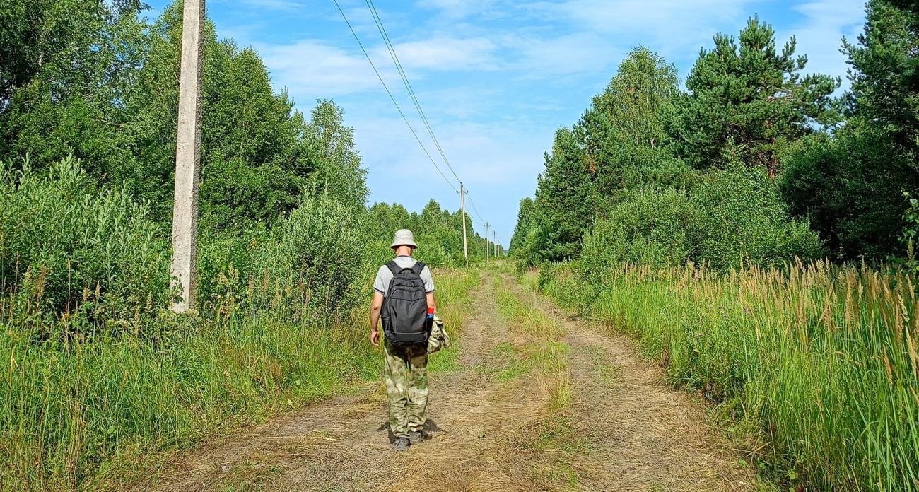 Клещи не переносят этот запах: всего за 45 рублей получите защиту в сто раз лучше магазинного спрея
