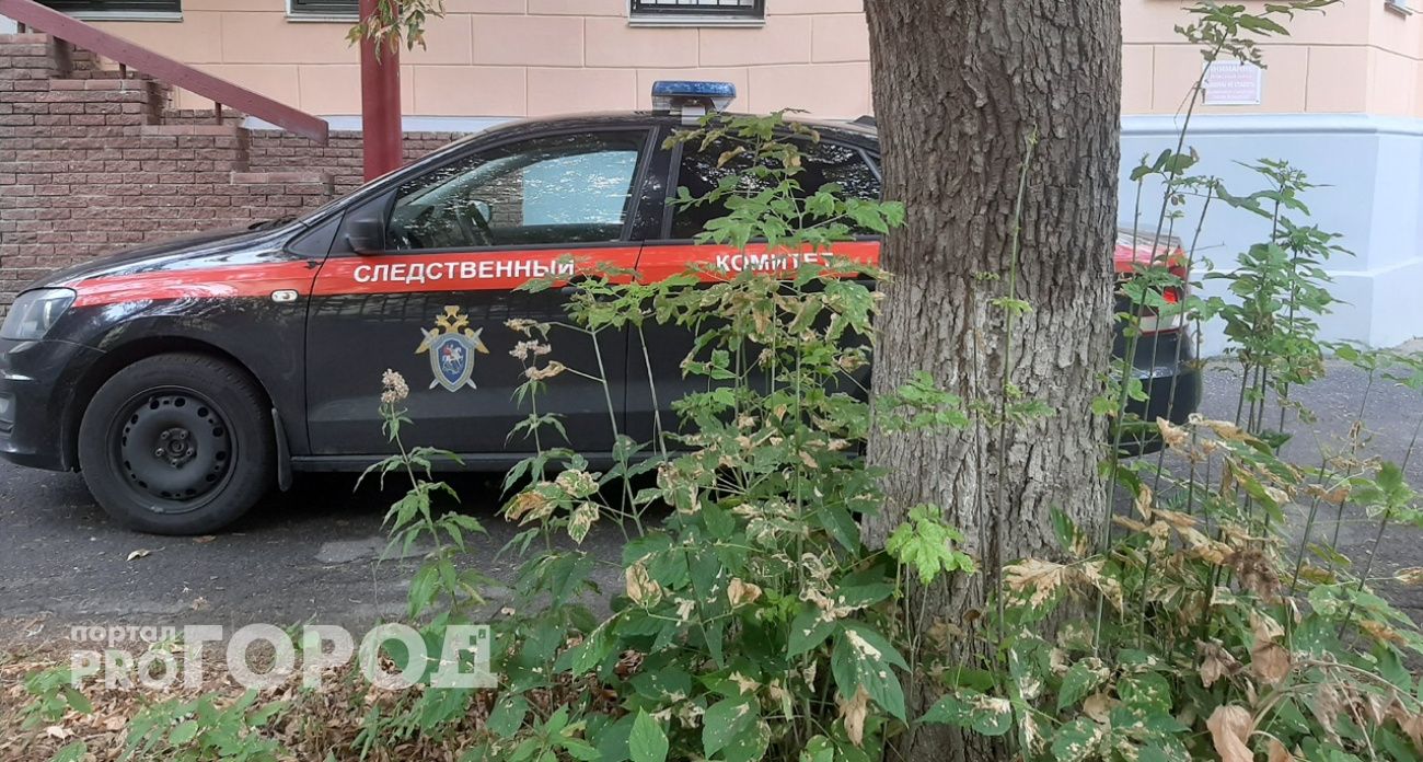 Жителя Арзамаса арестовали за попытку убить соседа