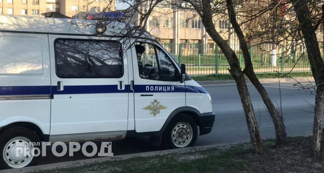 Мошенники пытались выманить у нижегородки миллионы в обмен на дочь, но не смогли