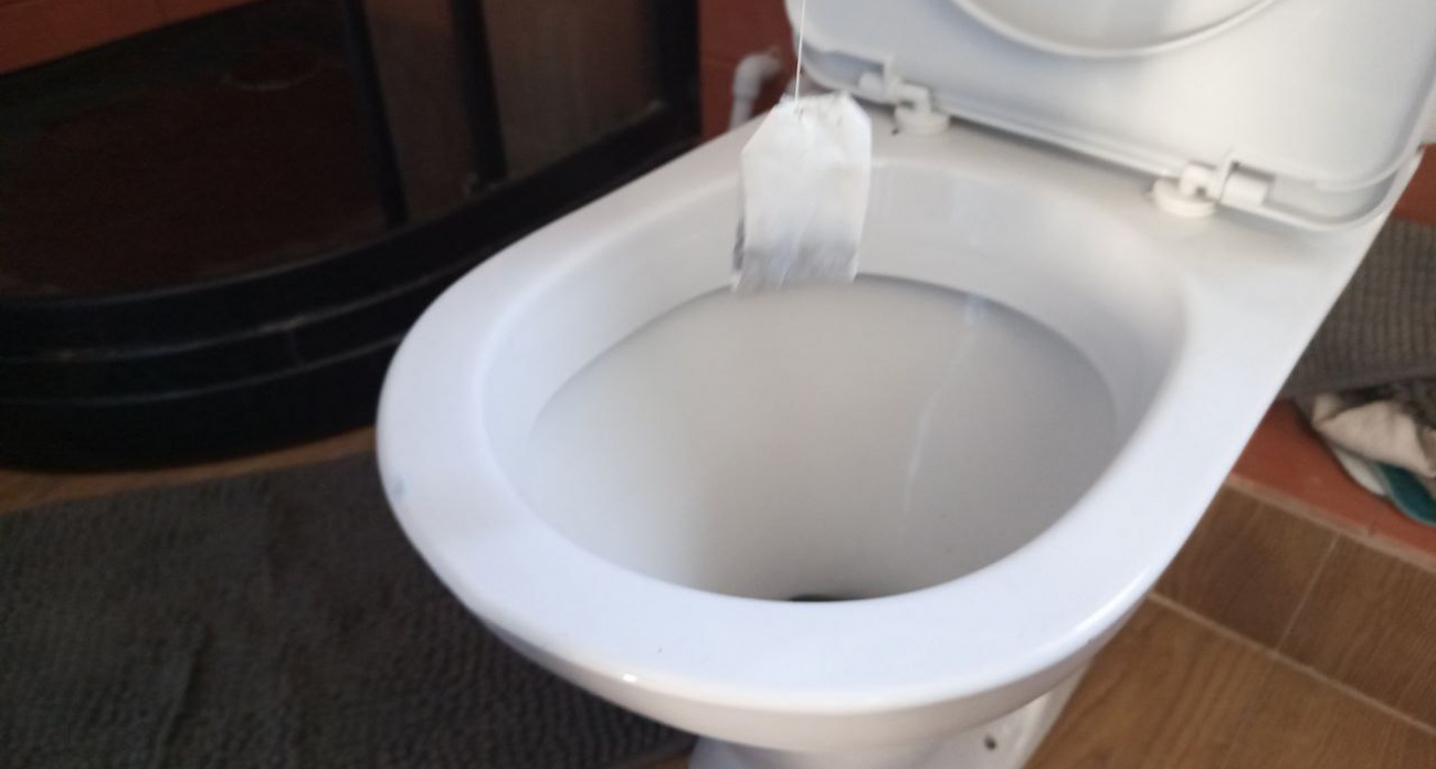 Уходя из дома, бросаю чайный пакетик в унитаз - проверенный способ знакомой горничной избавил от всех проблем