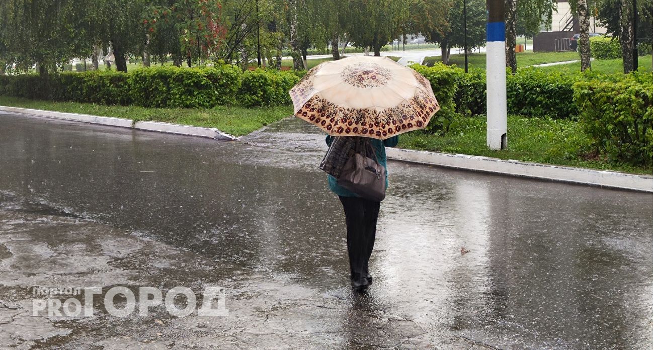 Нижегородцам вновь придется взять в руки зонтики: лить будет целую неделю