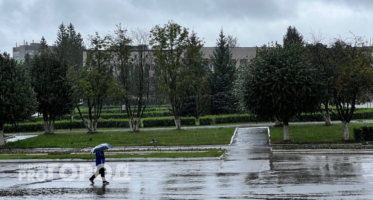 Солнечные деньки останутся в прошлом: синоптики назвали день, когда в Нижний Новгород вновь придут дожди