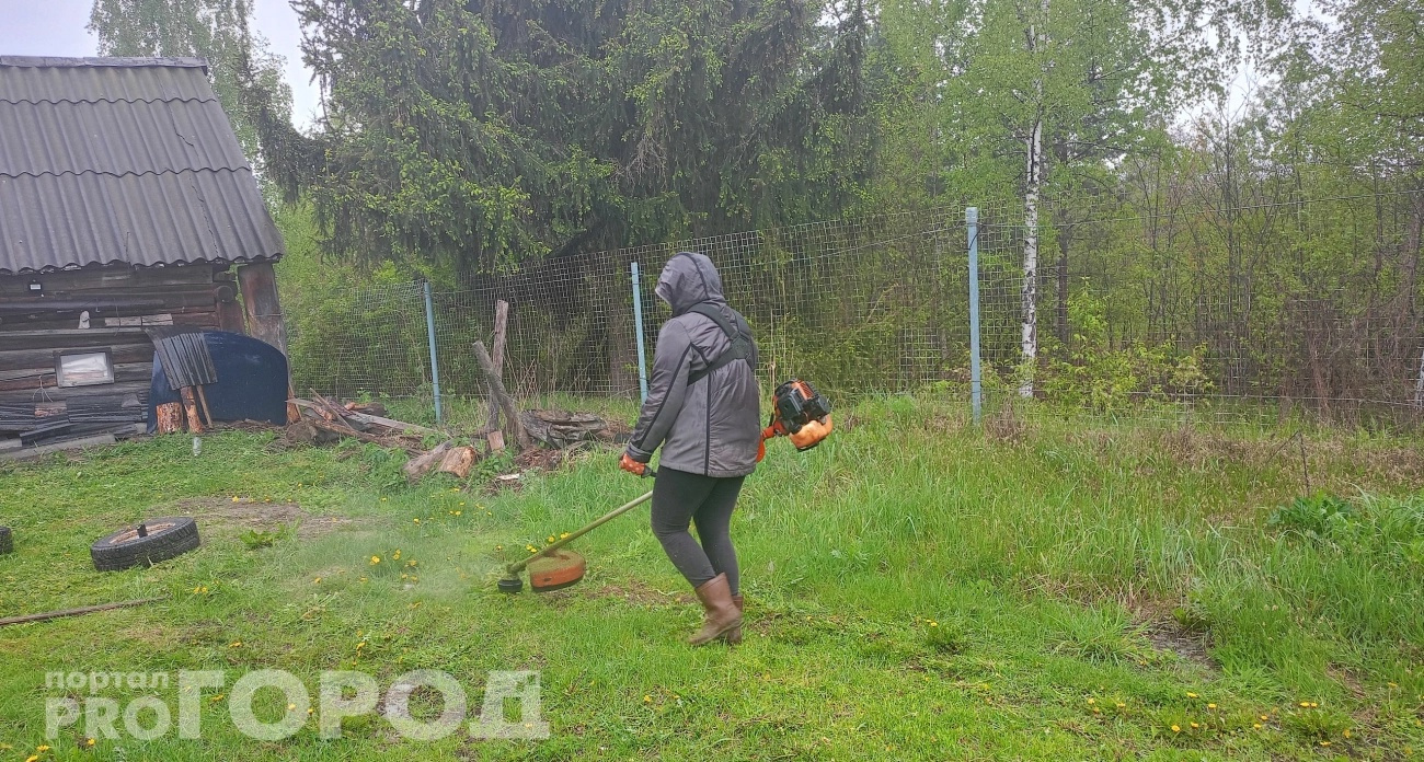 Сосед по даче надоумил сделать это с триммером: косит в разы быстрее, и леска больше не рвется