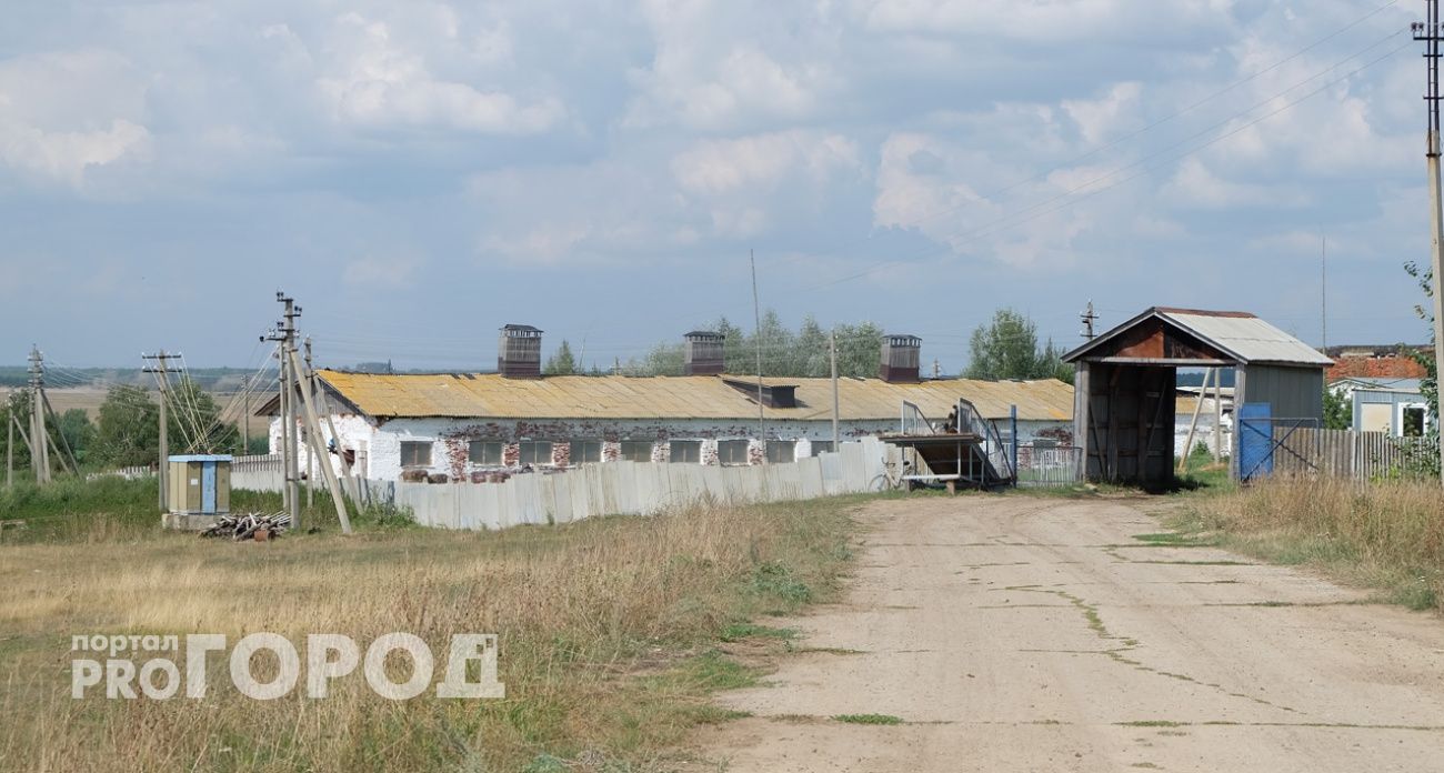 В Нижегородской области начальству агрофирмы грозит суд за невыплату зарплаты сотруднице