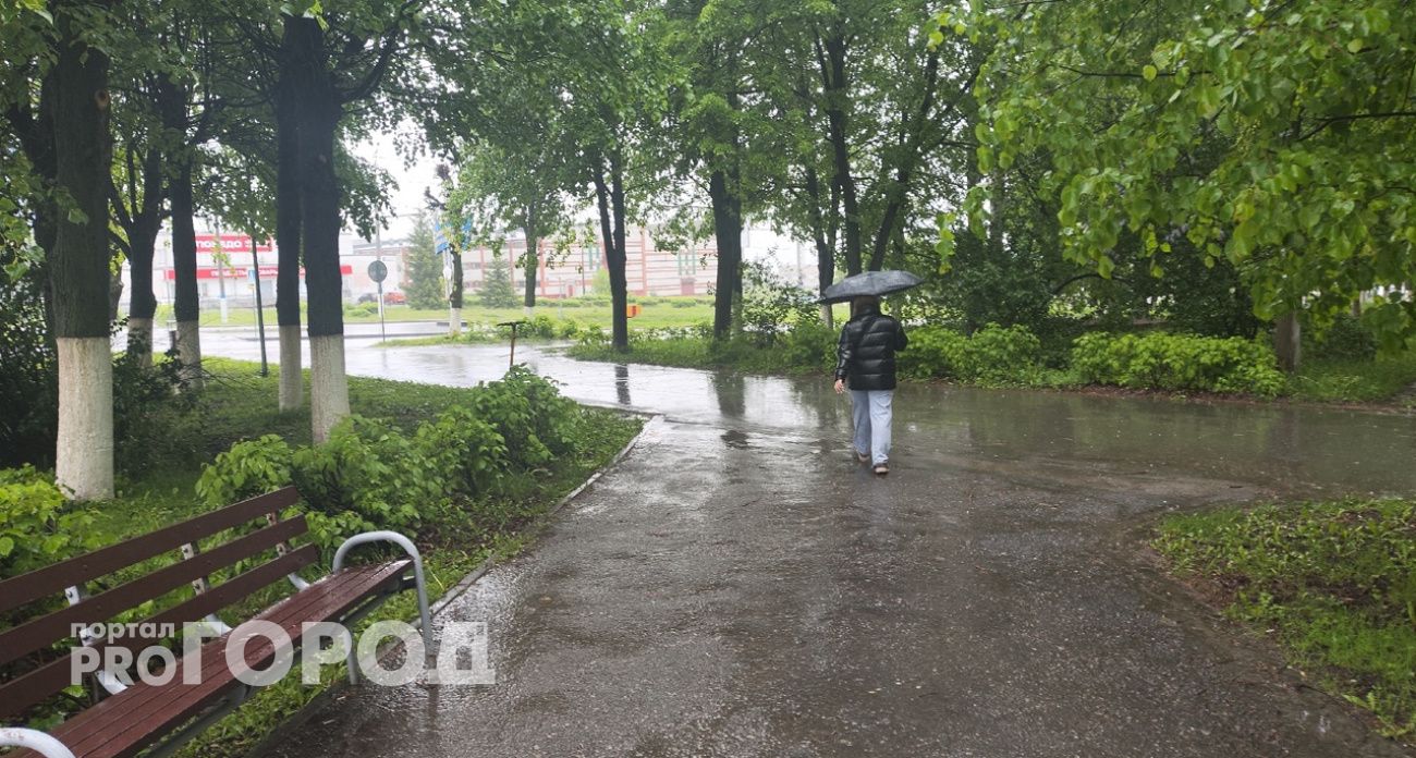 Поиск подработки оставил нижегородку без денег