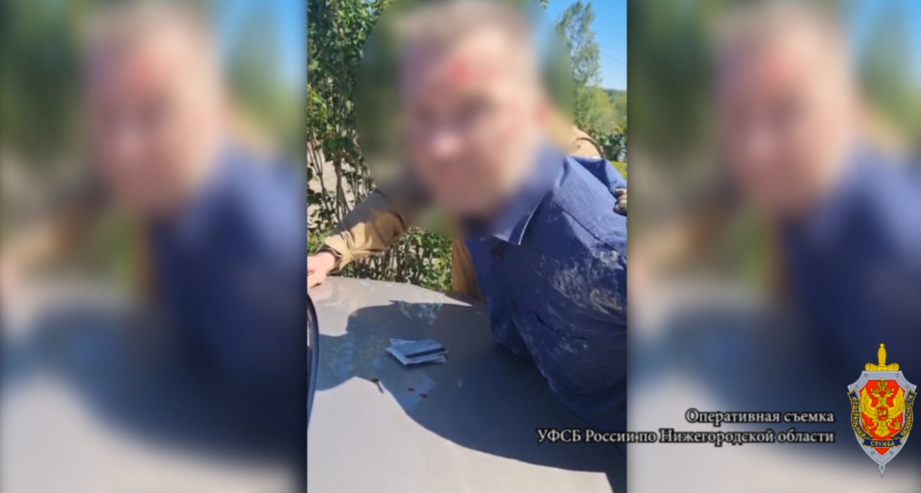 Покупка запалов ручных гранат обернулась тюремным сроком для жителя Дивеевского района