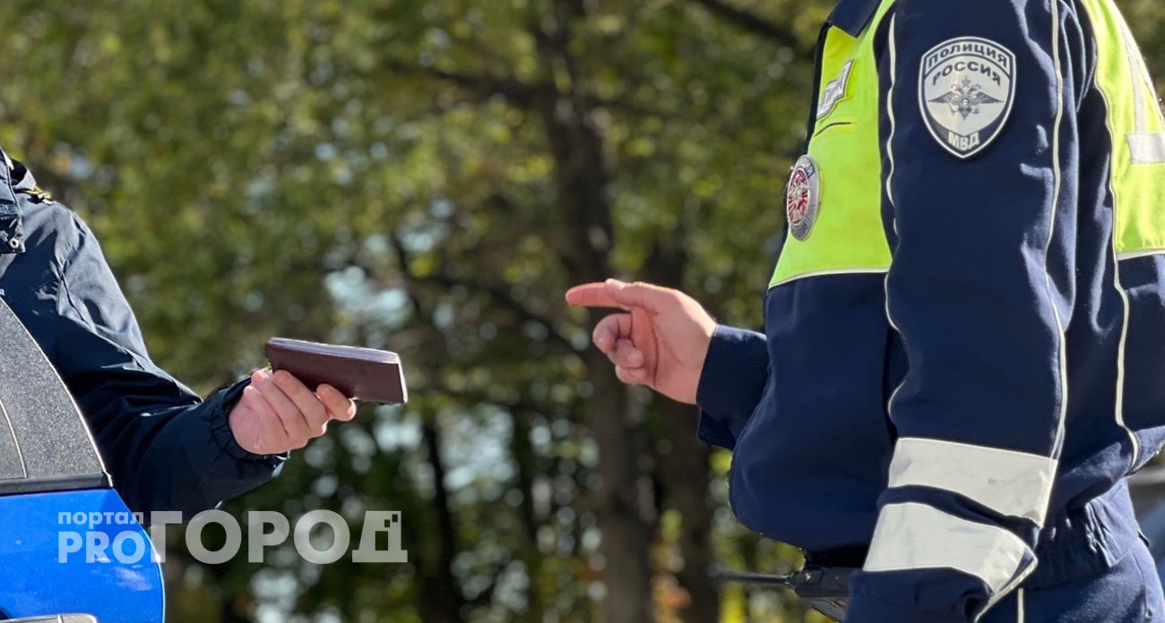 Житель Мордовии предъявил фальшивое удостоверение при проверке в Гагино