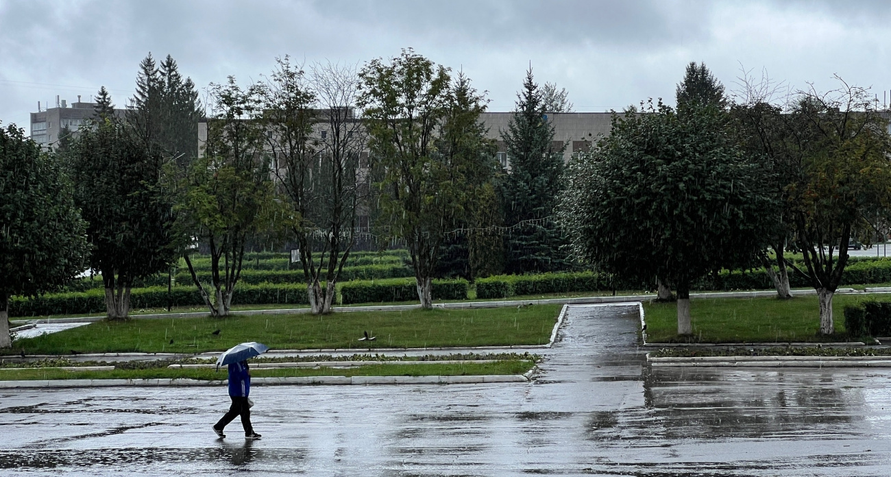 "Лета больше не будет": Вильфанд заставил россиян растеряться из-за обновленного прогноза на август 2025