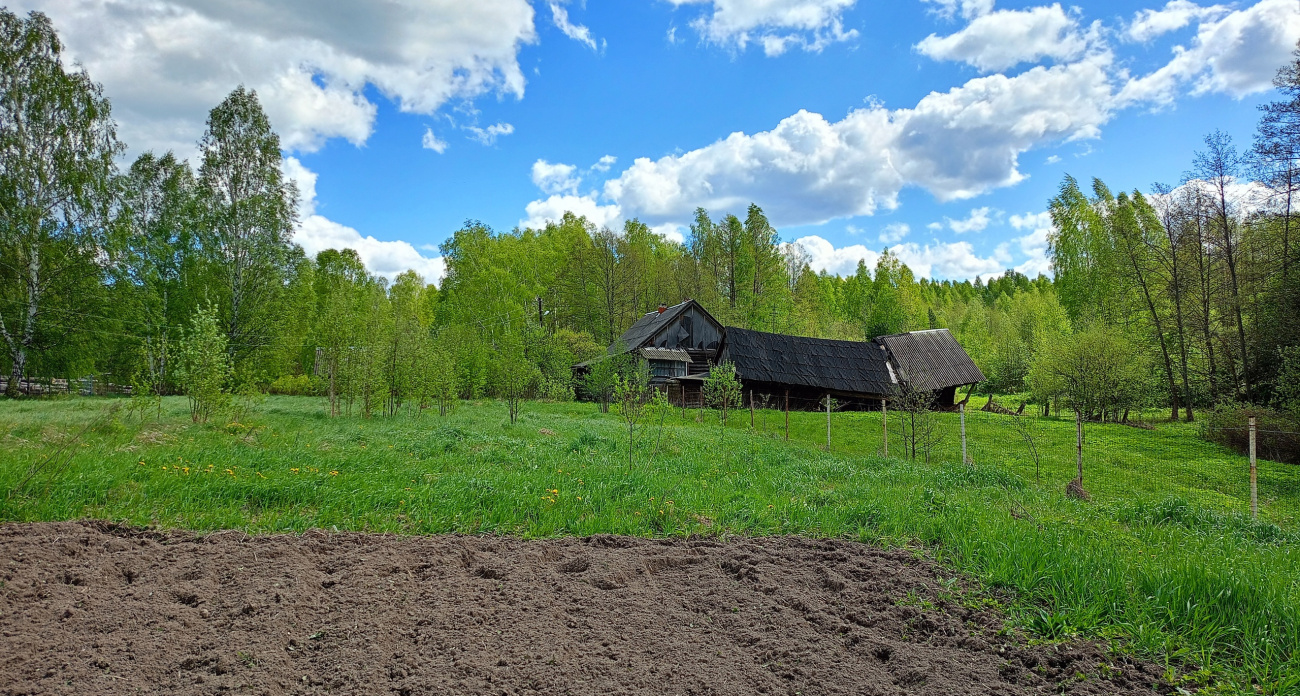 С 1 сентября начнут отбирать участки без спроса: новое правило коснется всех владельцев земель