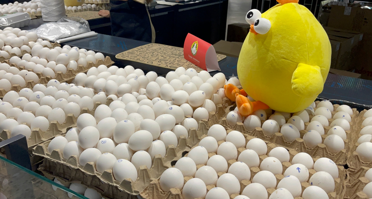 Эти яйца опасны даже если свежие: никогда не покупайте их в супермаркетах