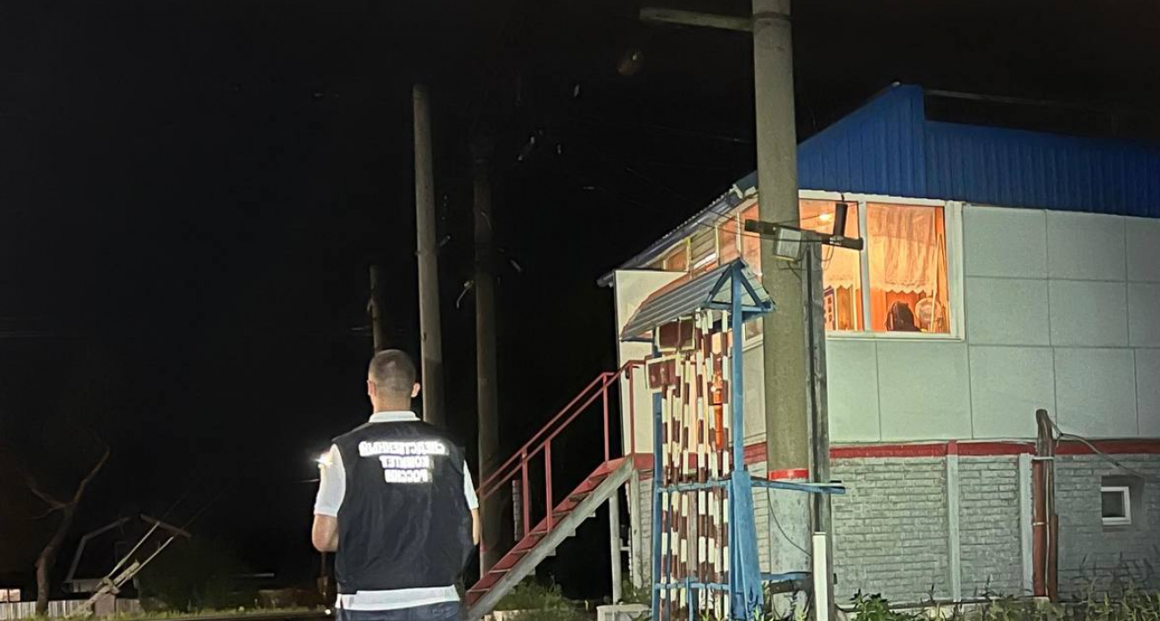 В Нижегородской области поезд насмерть сбил 87-летнего мужчину