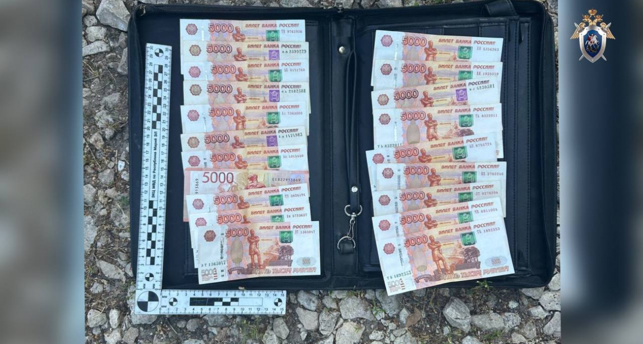 Житель Нижегородской области пытался откупиться от марийских полицейских, но попался