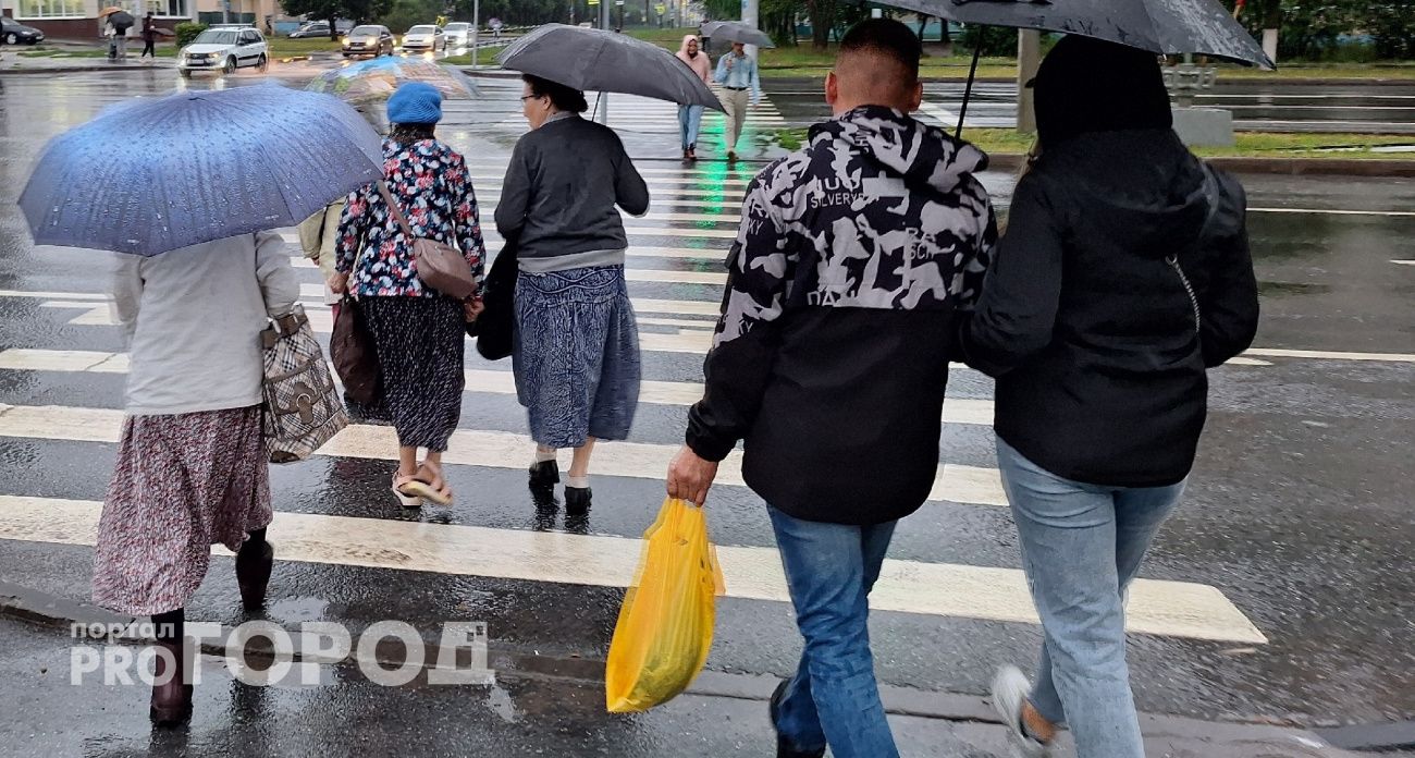 Ветер с севера и дожди обоснуются в Нижегородской области
