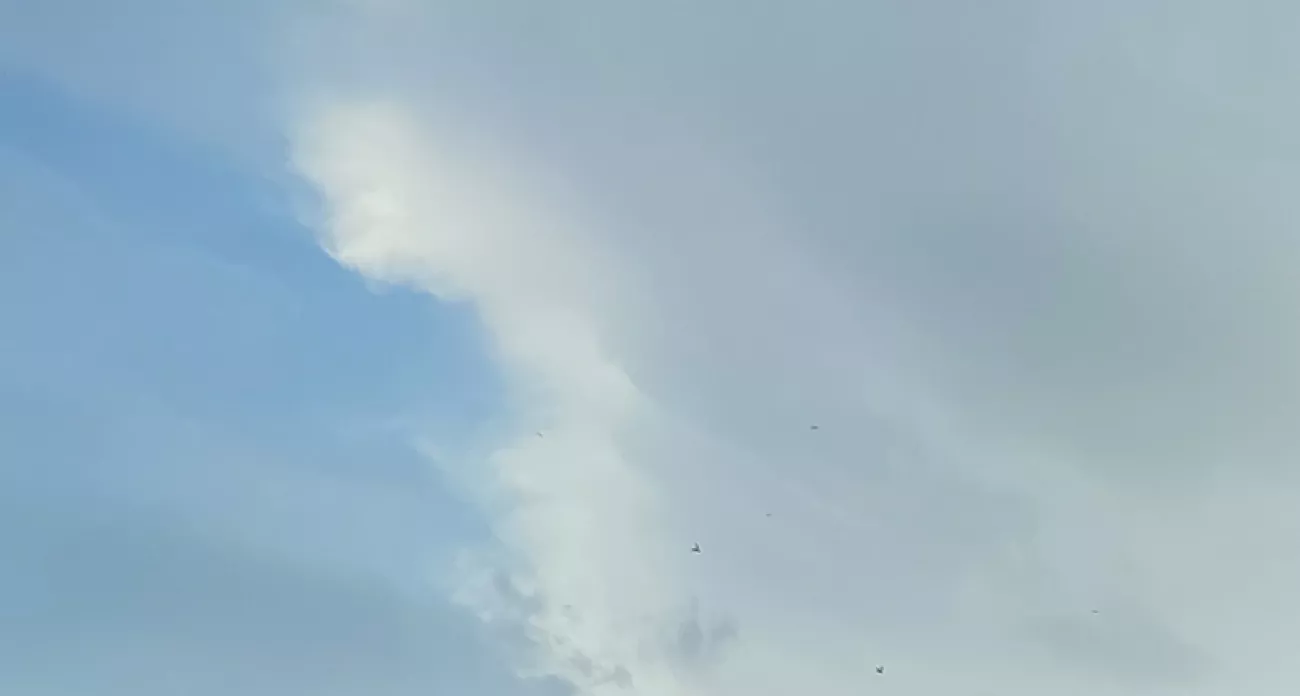 Фото к статье: Трехдневный фестиваль пригласит жителей Нижнего Новгорода на мастер-классы и лекции в честь известного певца