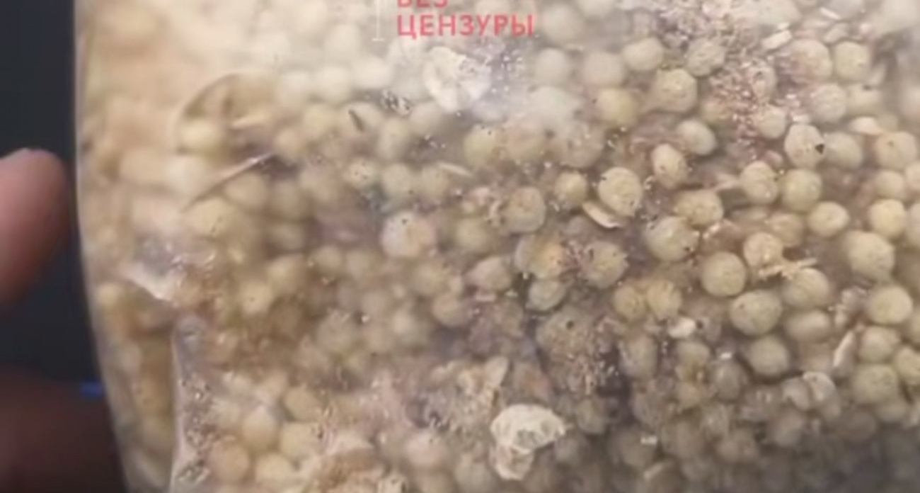 В нижегородском ТЦ продают детскую кашу с жуками