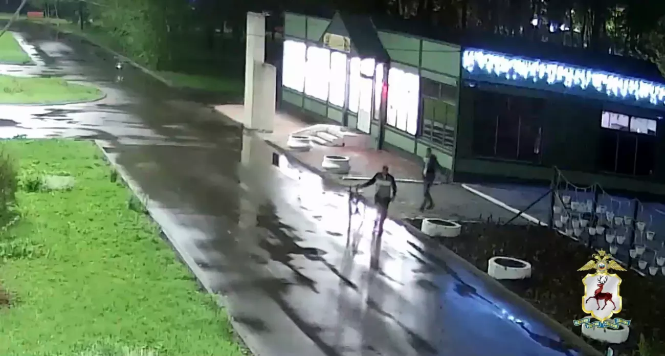 Фото к статье: Нижегородец отметил знакомство в парке и остался без велосипеда и гитары