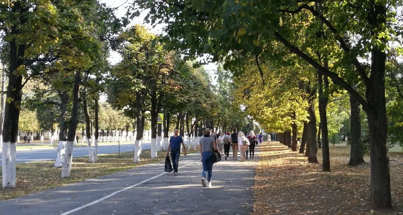 Фото к статье: Когда придёт «бабье лето»: синоптики дали подробный прогноз на осень 2025