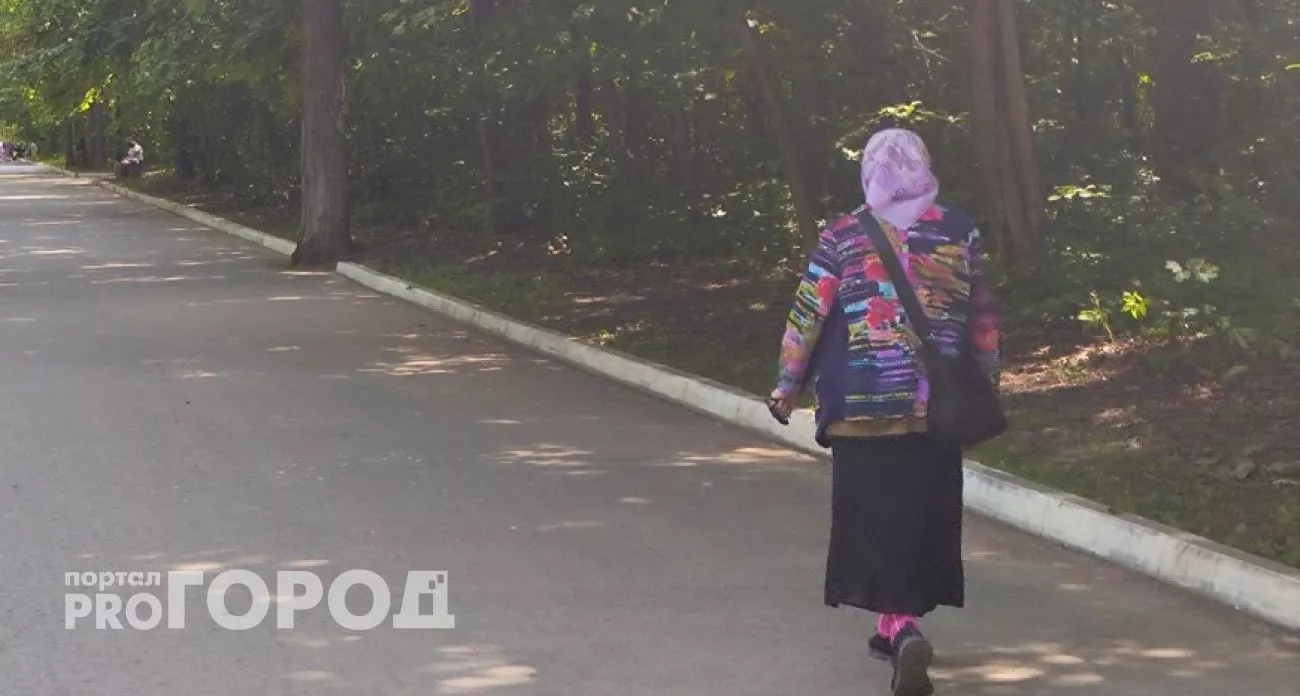 Фото к статье: Неизвестные обманули 74-летнюю женщину из Павлова, выманив деньги через демонстрацию экрана