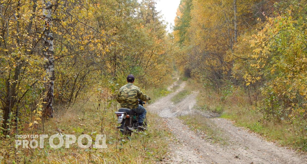 Бабье лето-2025: синоптики назвали точные даты, когда будет по-настоящему тепло