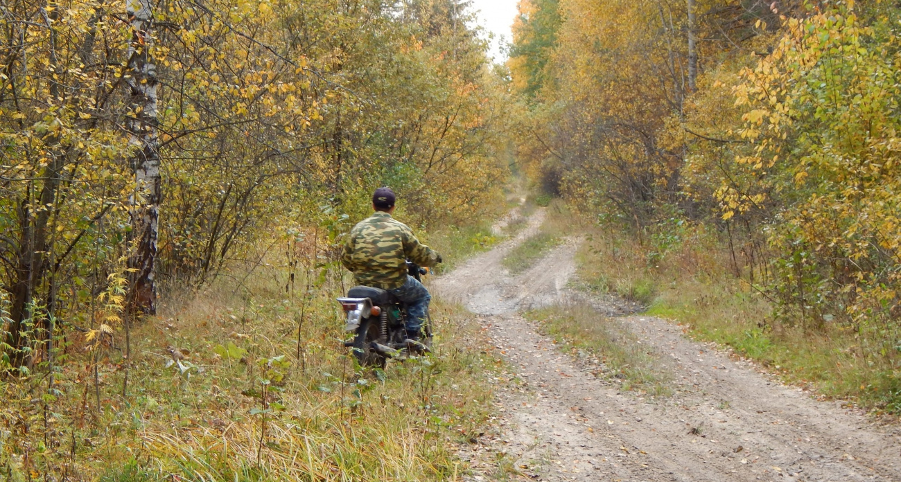 Теперь делать это в лесу нельзя - россиян будут наказывать за фото с грибами
