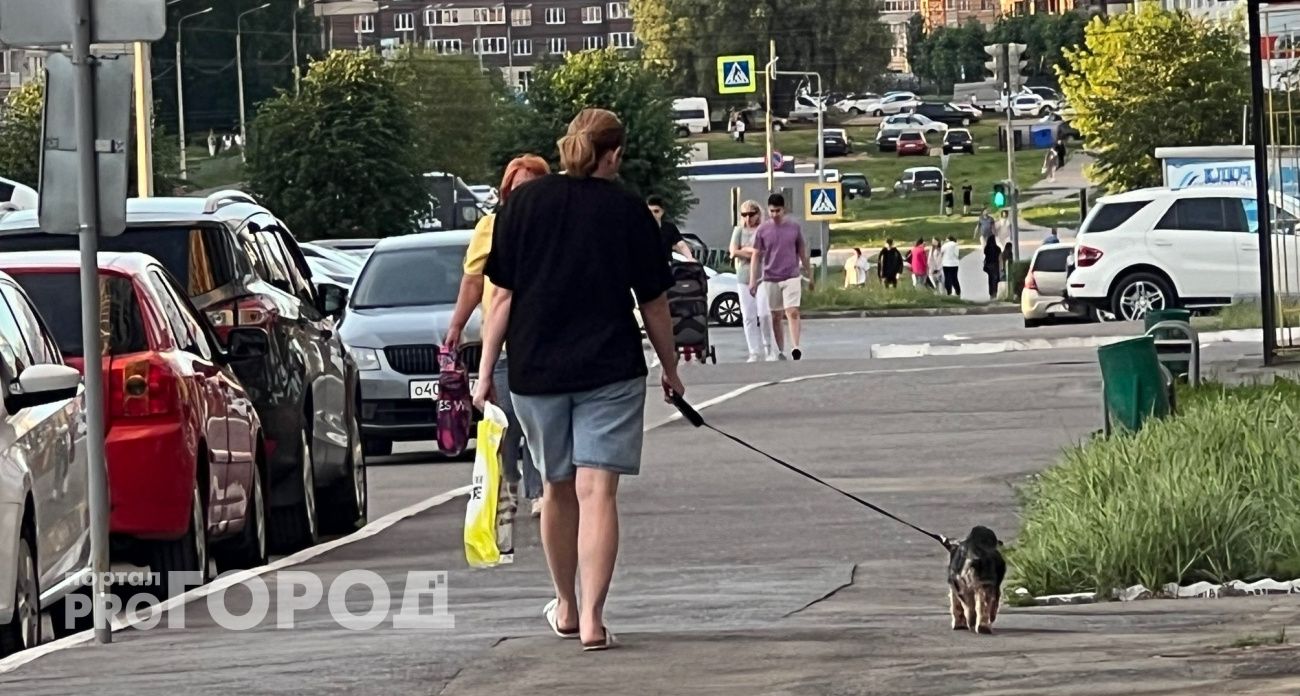 Денежный поток накроет с головой: три знака, которым судьба приготовила богатство после 15 августа