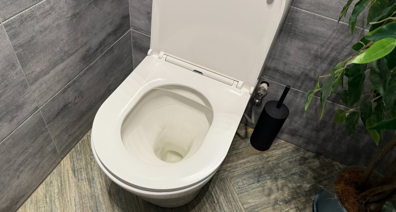 Почему немецкие хозяйки сыпят соль в унитаз перед приходом гостей — удивительный трюк 