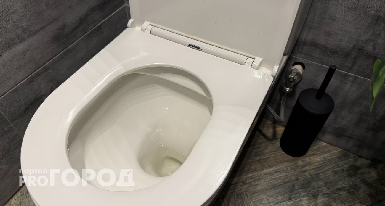 Насыпьте это в унитаз и отдыхайте: простой способ добиться кристальной белизны в туалете