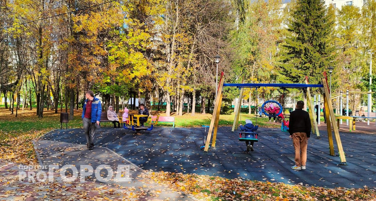 Бабье лето-2025: Вильфанд объяснил, ждать ли аномально тёплую погоду в сентябре