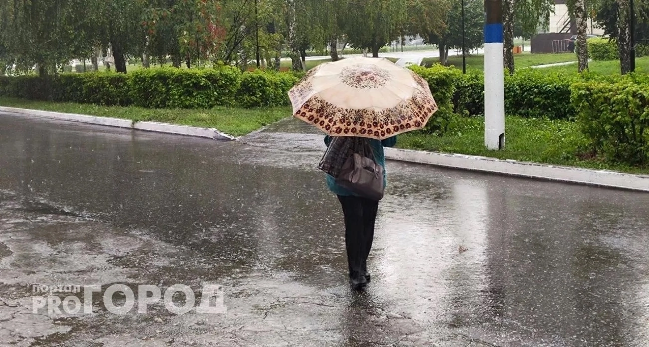 Мебель в обещаниях и бизнес на доверии: нижегородка содрала почти 8 миллионов на фейк-продажах