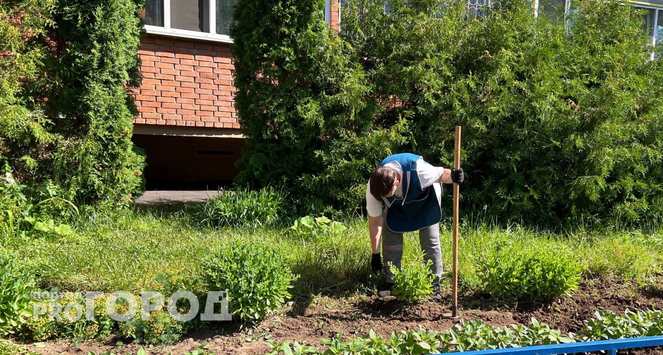 Успейте посадить до первого снега: эти многолетники не боятся заморозков и пышно цветут весной - советы садоводов