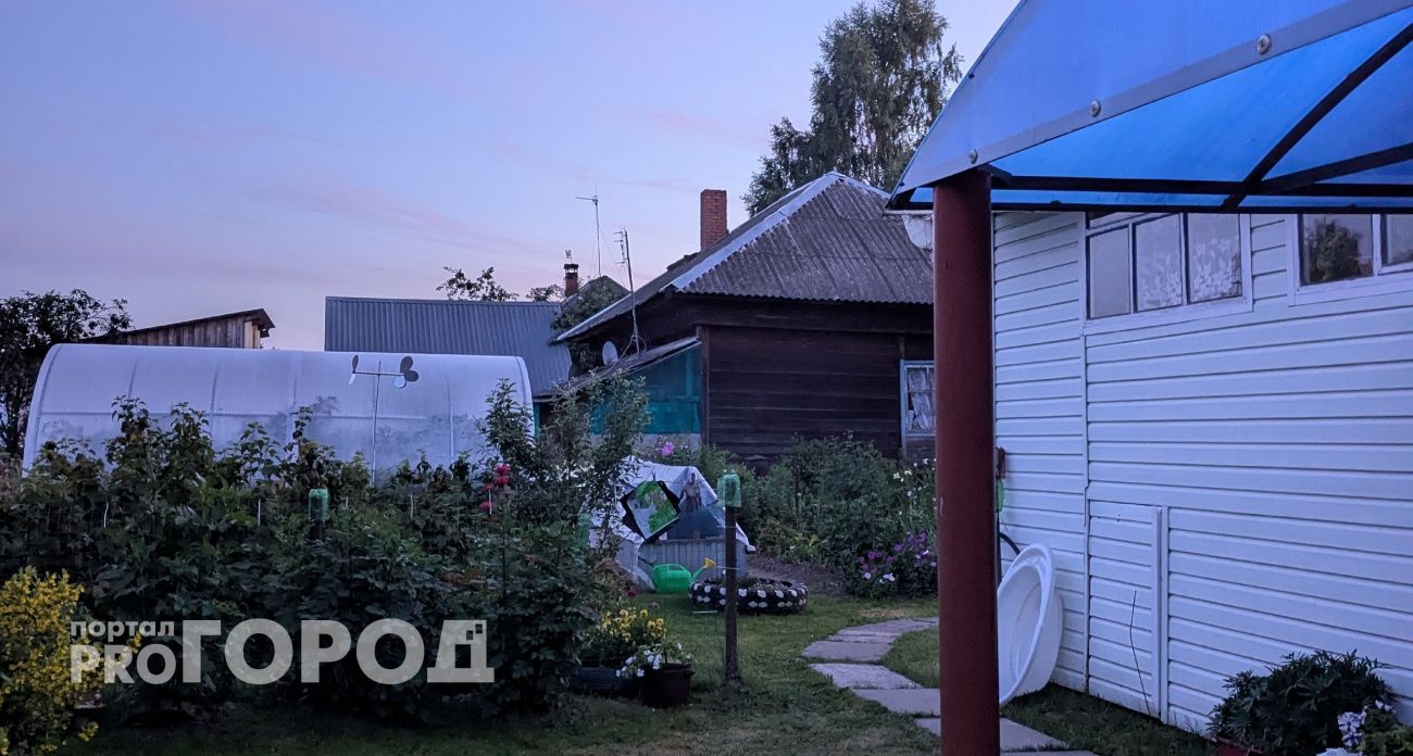 Соберите урожай до этого дня: народные приметы 11 сентября