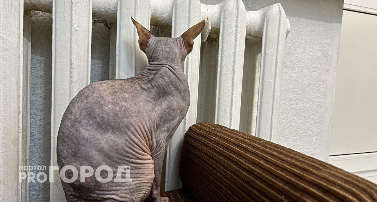Когда в Нижнем Новгороде могут включить отопление: дата