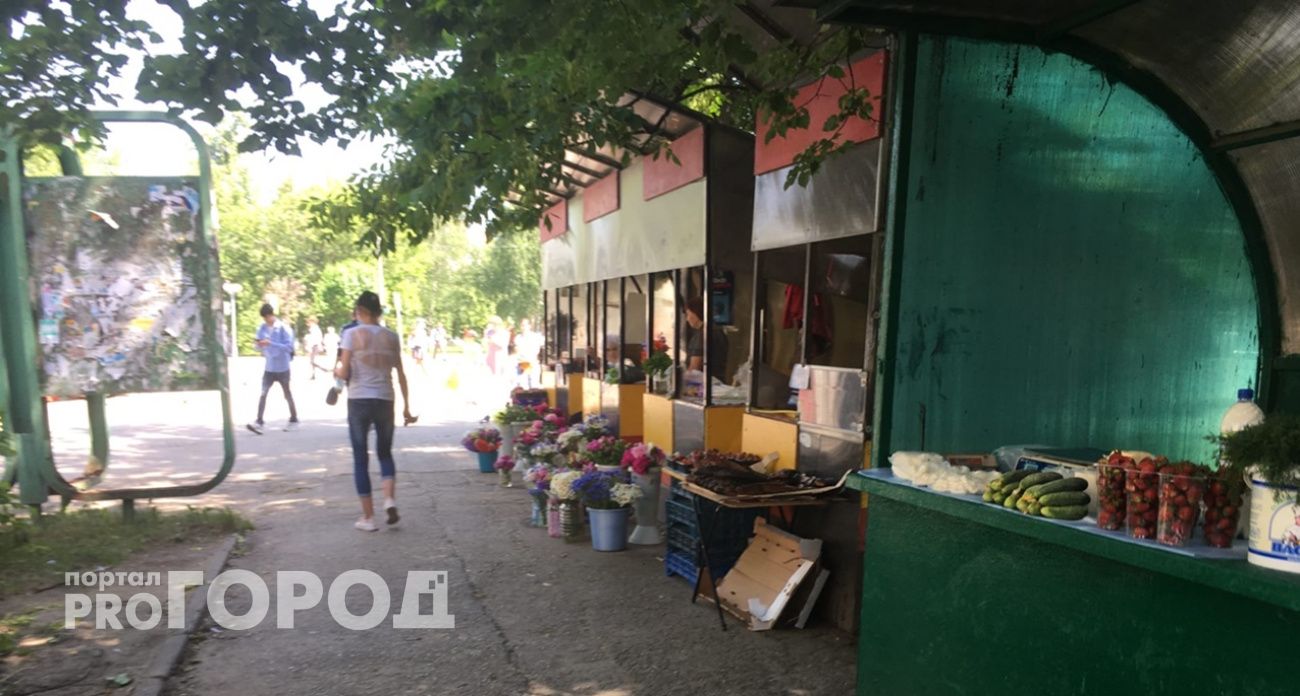 В Ленинском районе Нижнего Новгорода поймали 70 продавцов, которые торговали незаконной едой
