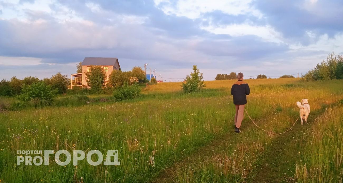 Некоторым нижегородцам запретят выгуливать собак: новые правила от правительства РФ
